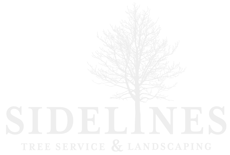 Sidelines Tree Service LLC Logo