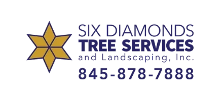 Six Diamonds Tree Services & Landscaping, Inc. Logo