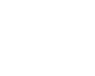 Skeen Tree Care Logo