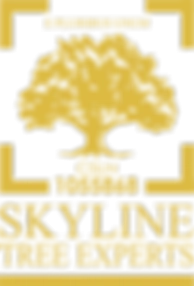 Skyline Tree Experts Logo