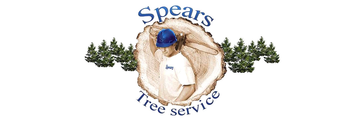 Spears Tree Services Logo
