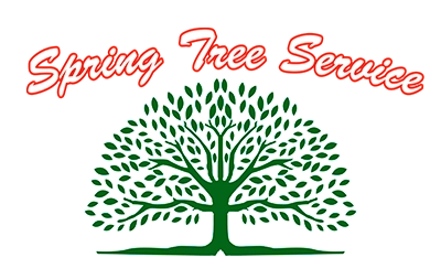 Spring up Tree Service Logo