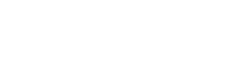 Staley Electric Logo