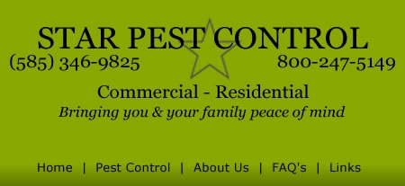 Star Pest Control Logo
