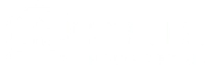 Stellar Roof Repair Logo