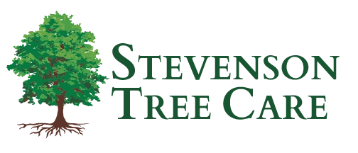 Stevenson Tree & Lawn Care Logo