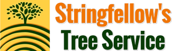 Stringfellow's Tree Service Logo
