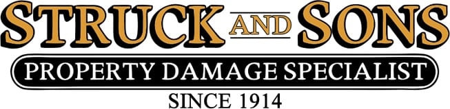 Struck and Sons Logo