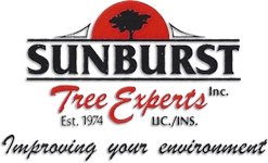 Sunburst Tree Experts Inc. Logo