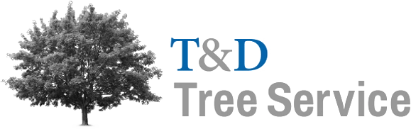 T and D Tree Service Logo