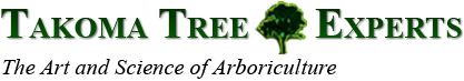 Takoma Tree Experts LLC. Logo