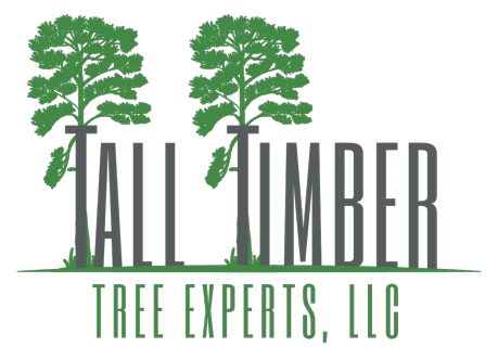 Tall Timber Tree Experts LLC Logo
