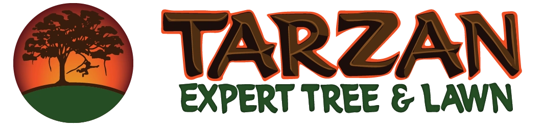 Tarzan Expert Tree & Lawn Logo