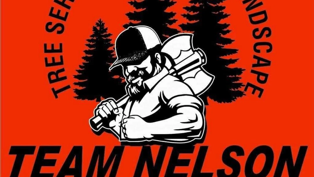 Team Nelson Services LLC Logo