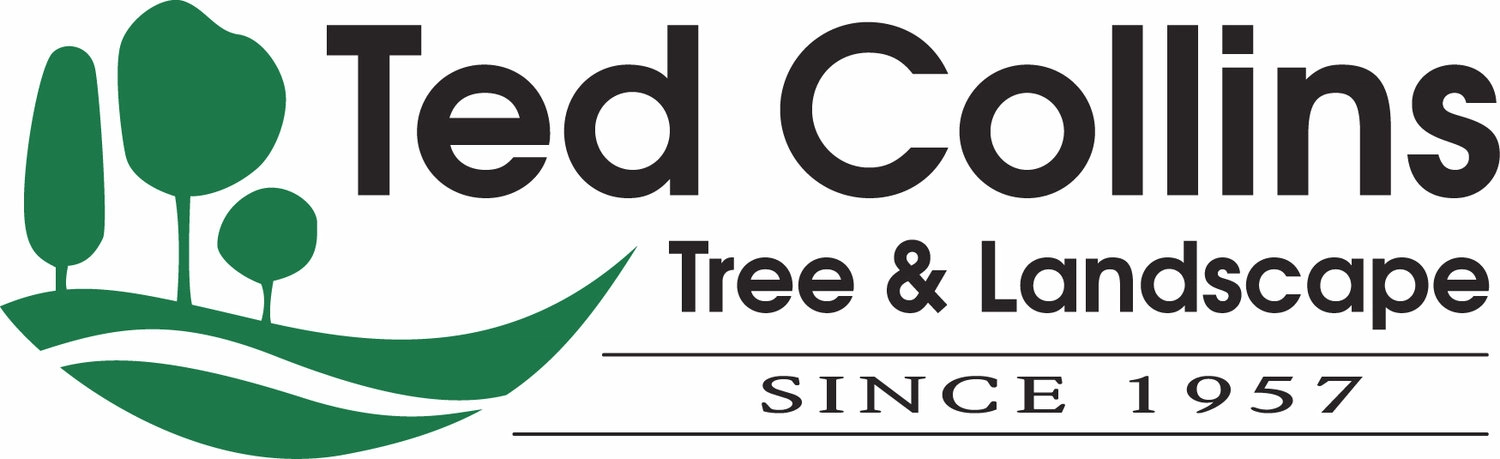 Ted Collins Tree & Landscape Logo