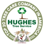Terry Hughes Tree Services Logo