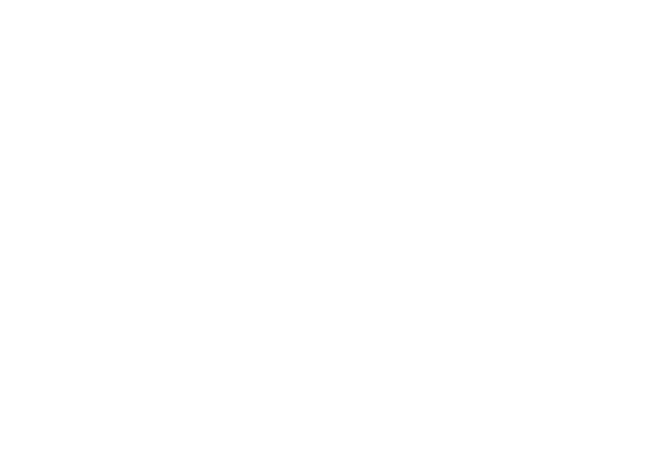 The Dudes Moving Co. - Professional Movers Logo