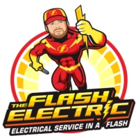 The Flash Electric Logo