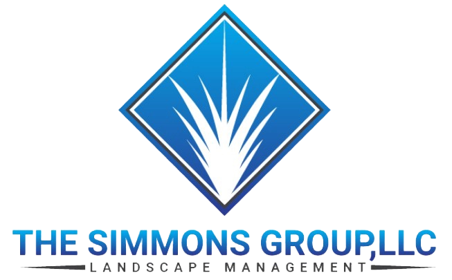 The Simmons Group, LLC. Logo
