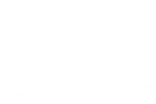 The Toilet Whisperer Logo