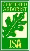 The Tree Bee Arborists, llc Logo