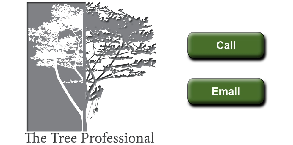 The Tree Professional Logo
