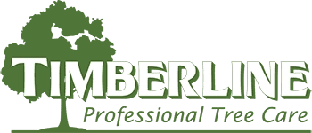 Timberline Professional Tree Care Logo