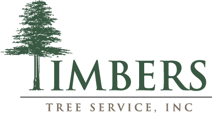 Timbers Tree Service Inc Logo