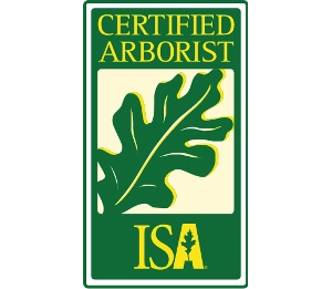 Tip Top Arborists Logo