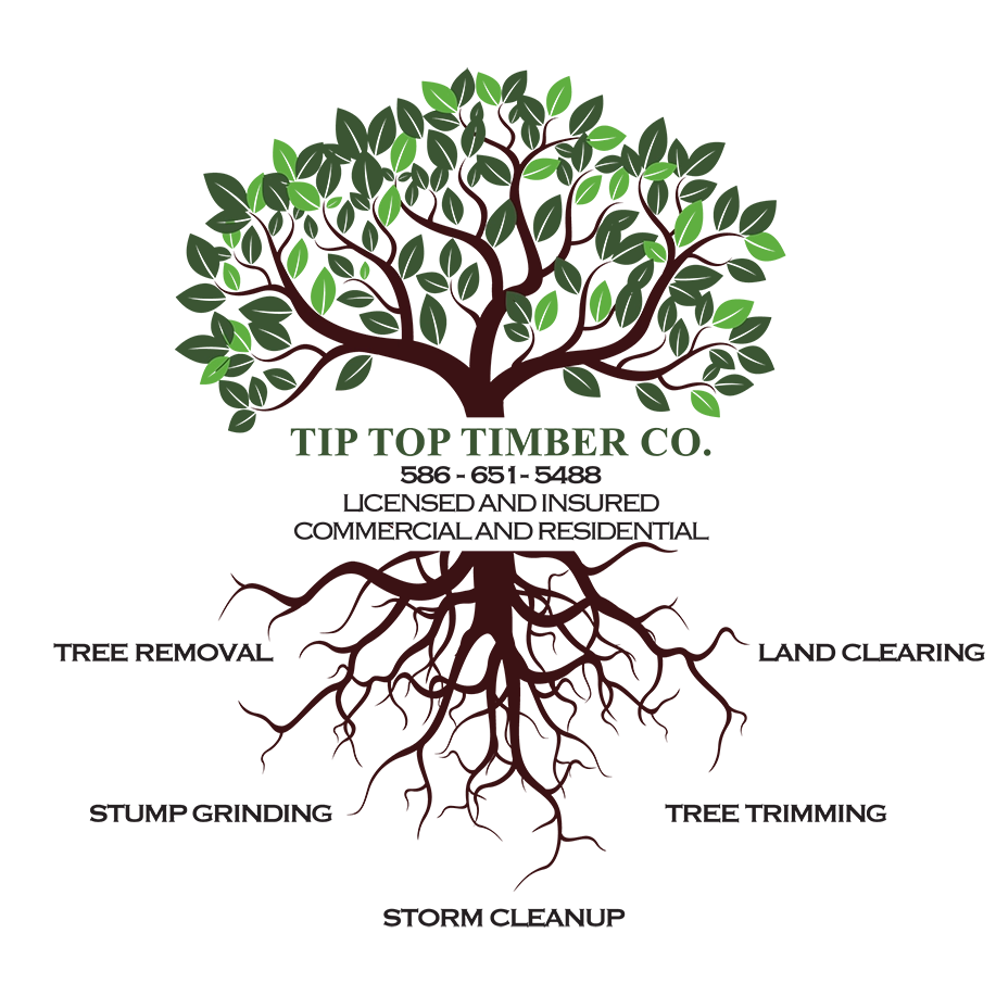 Tip Top Timber Co. Logo