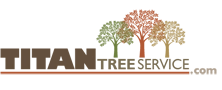 Titan Tree Service Logo