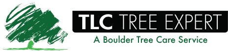 TLC Tree Expert Inc Logo
