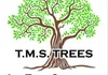 TMS Trees Logo