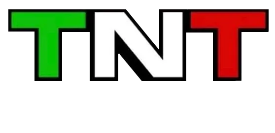TNT Movers LLC Logo