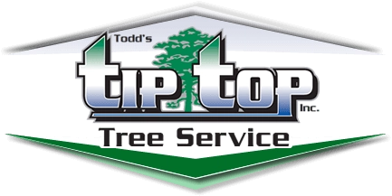 Todd's Tip Top Complete Tree Service Logo