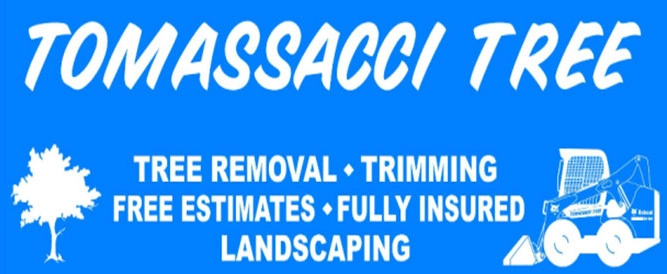 Tomassacci Tree Logo