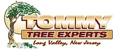 Tommy Tree Experts, LLC Logo