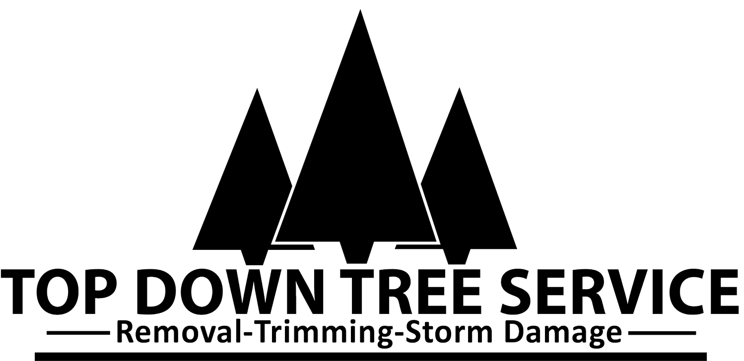 Top Down Tree Service Logo