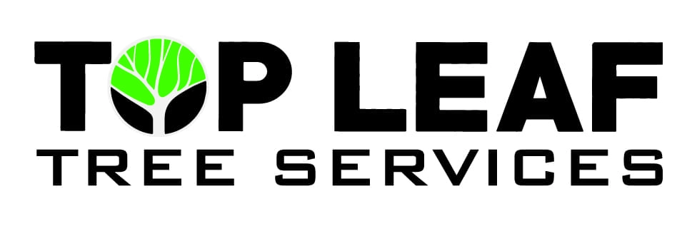 Top Leaf Tree Service Logo