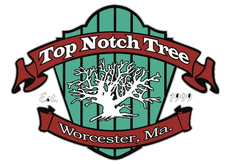 Top Notch Tree Services Logo