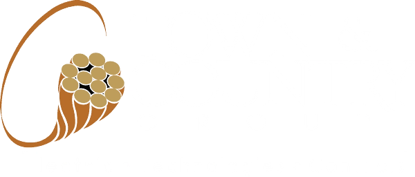 Town & Country Group Logo