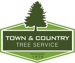 TOWN & COUNTRY TREE SERVICE Logo