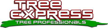Tree Express - Tree Professionals Logo