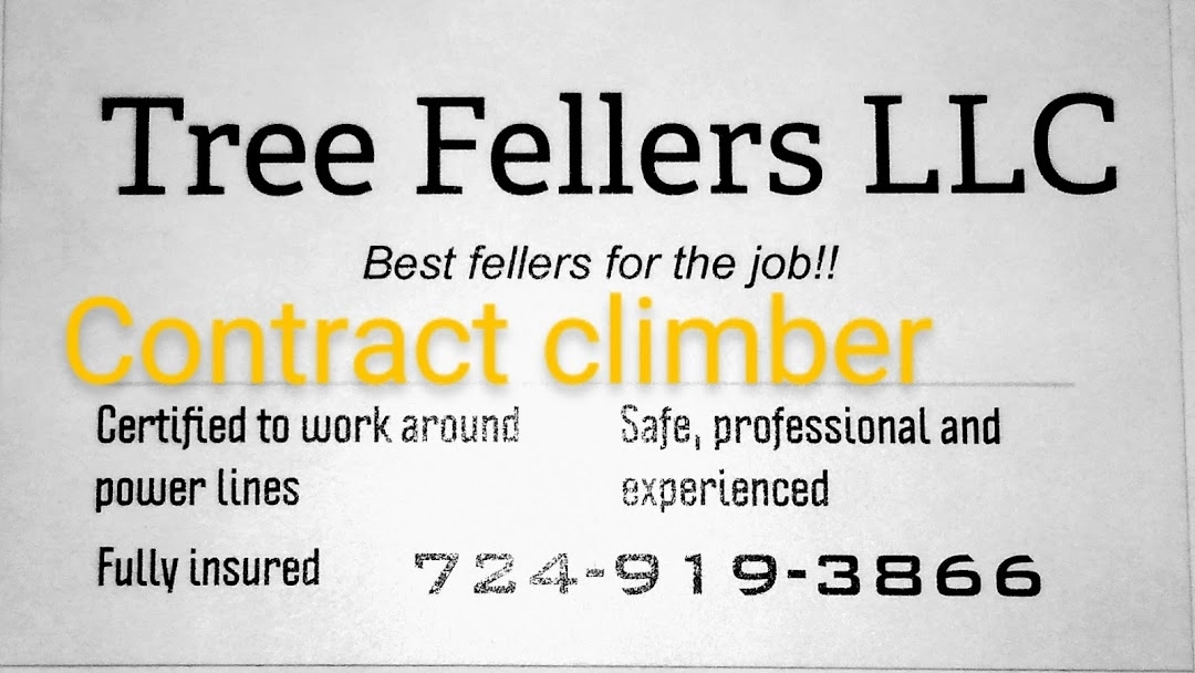 Tree Fellers LLC Logo