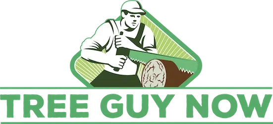 Tree Guy Now Logo