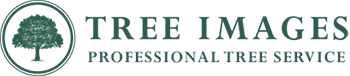Tree Images - Professional Tree Service Logo