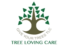 Tree Loving Care Logo