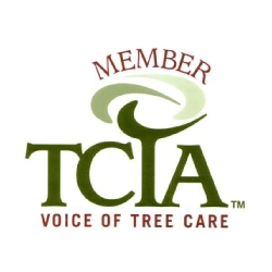 Tree Tech Inc Logo