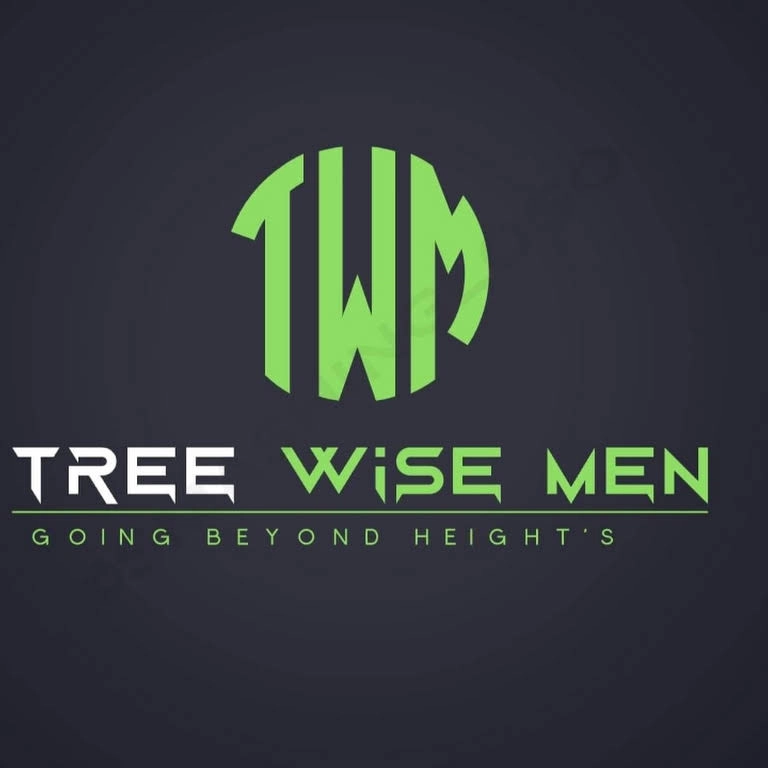Tree Wise Men Logo