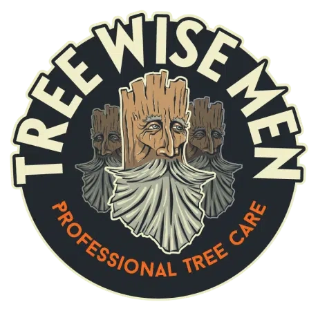 Tree Wise Men Professional Tree Care Logo